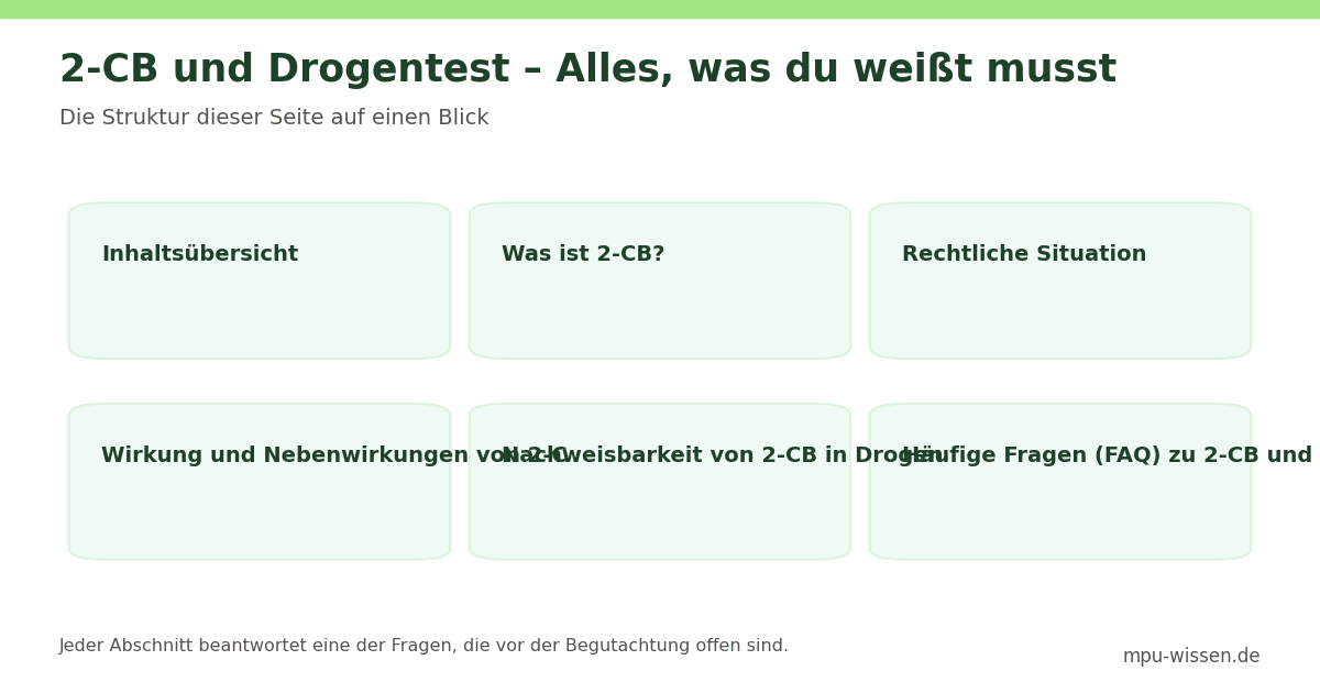 2-CB und Drogentest – Alles, was du wissen musst – Die Struktur dieser Seite auf einen Blick