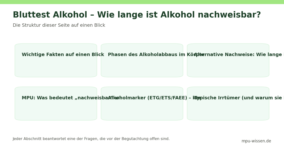 Bluttest Alkohol – Wie lange ist Alkohol nachweisbar? – Die Struktur dieser Seite auf einen Blick