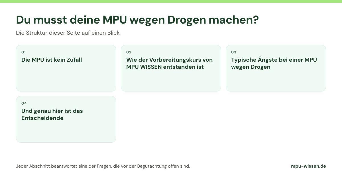 Du musst deine MPU wegen Drogen machen? Die Abschnitte dieser Seite im Überblick