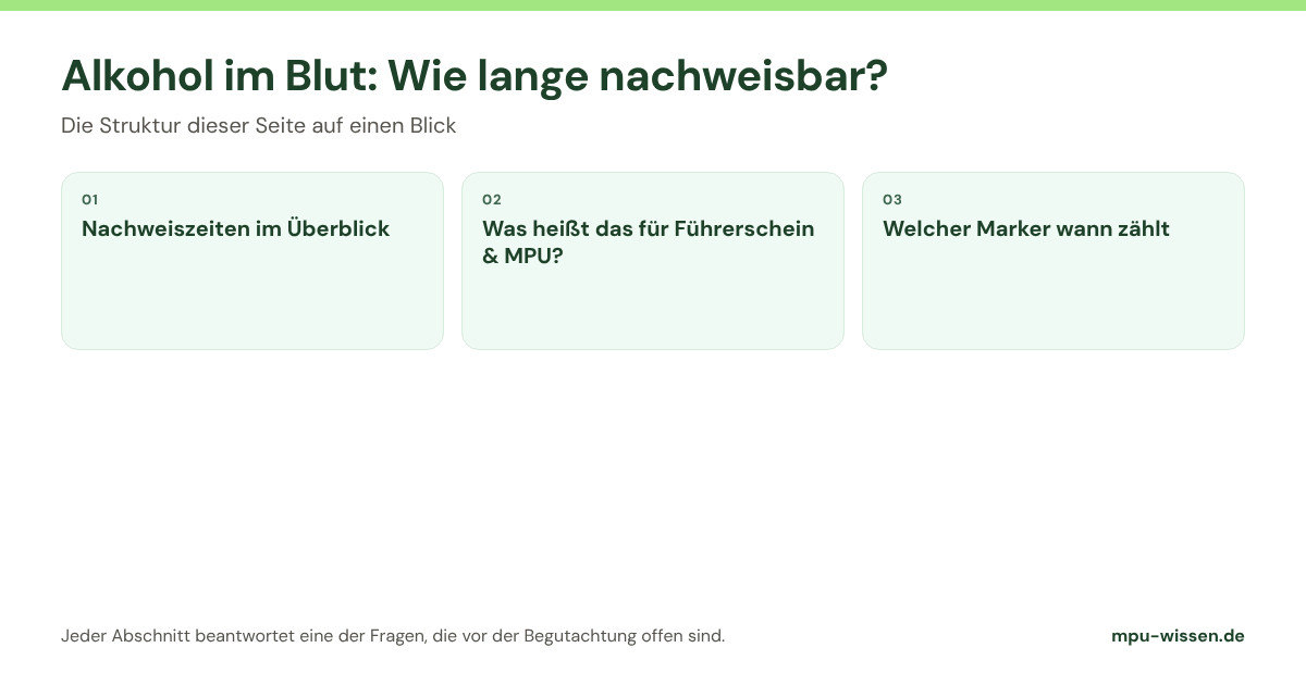 Alkohol im Blut: Wie lange nachweisbar? Die Abschnitte dieser Seite im Überblick