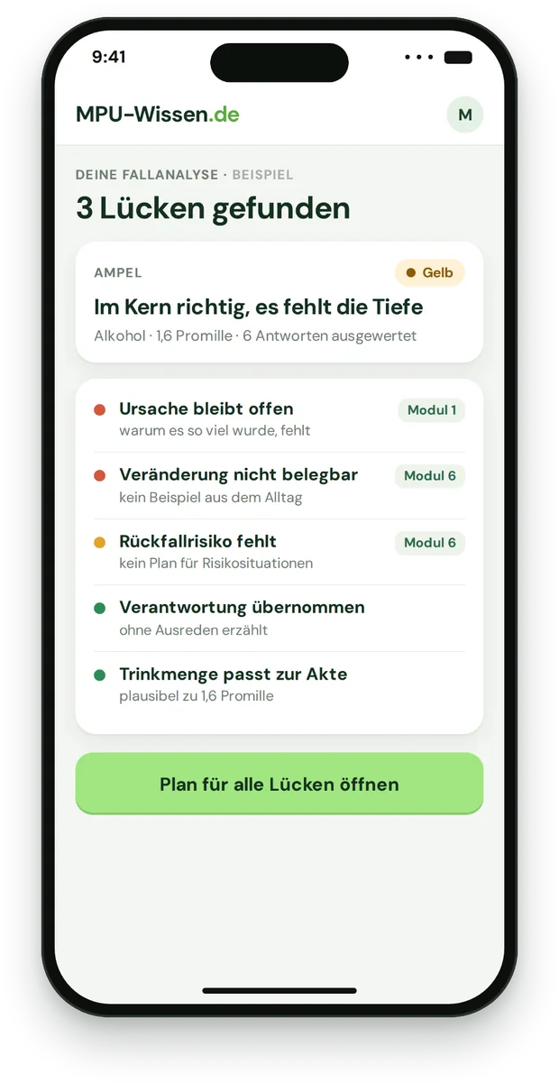 Auswertung der Fallanalyse (Beispieldaten)