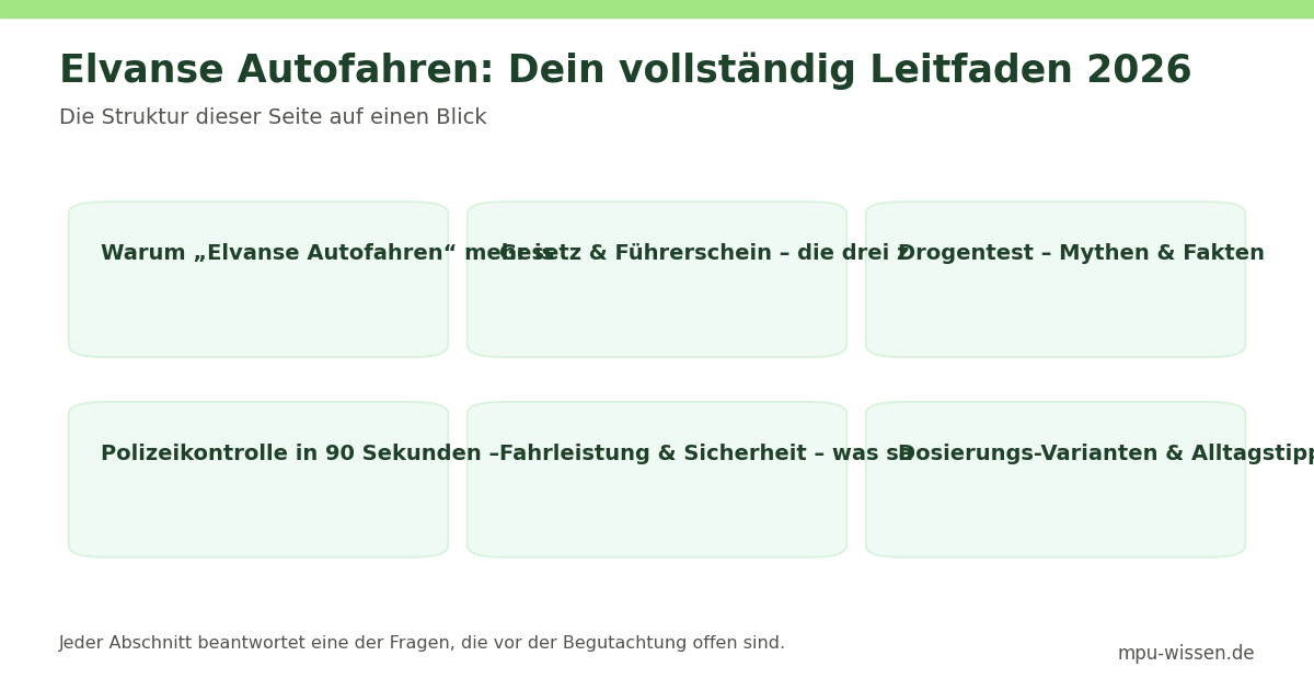 Elvanse Autofahren: Dein vollständig Leitfaden 2026 – Die Struktur dieser Seite auf einen Blick