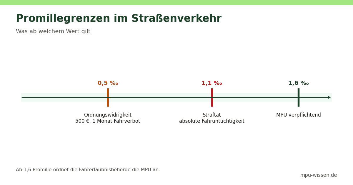 Promillegrenzen im Straßenverkehr – Was ab welchem Wert gilt