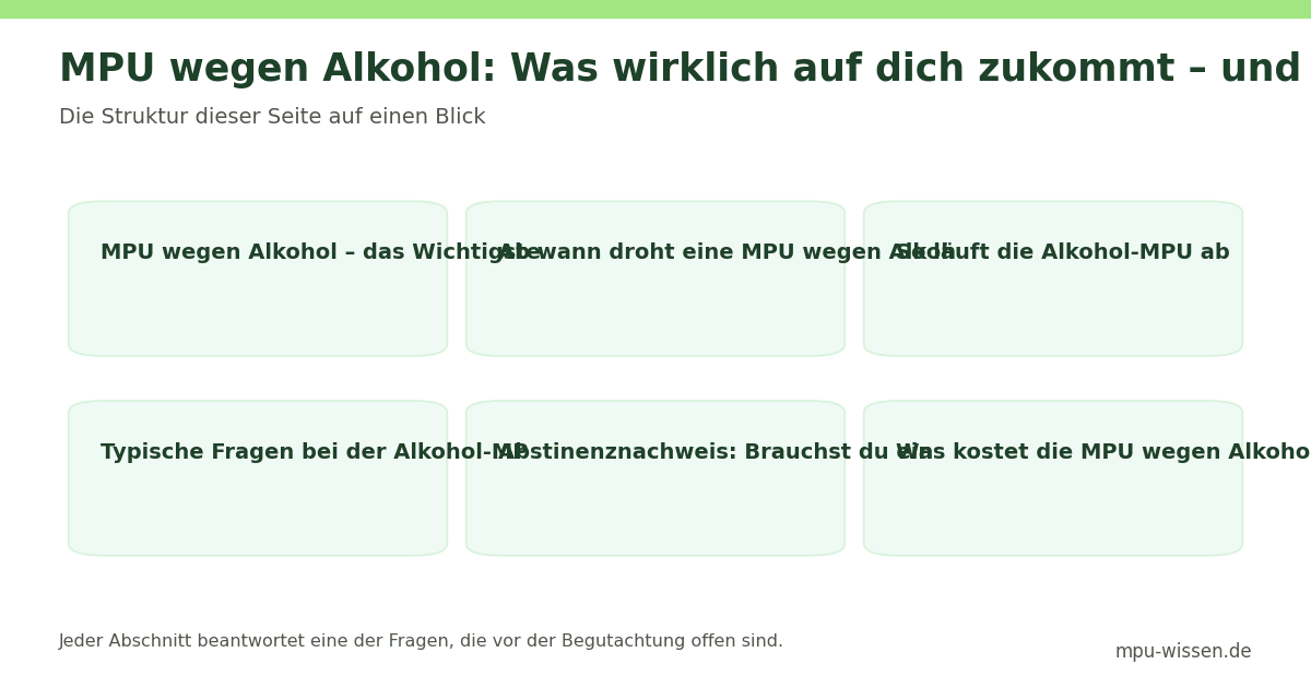 MPU wegen Alkohol: Was wirklich auf dich zukommt – und wie d – Die Struktur dieser Seite auf einen Blick