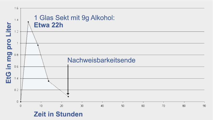 Wie lange ist ein Glas Sekt Alkohol im Blut nachweisbar