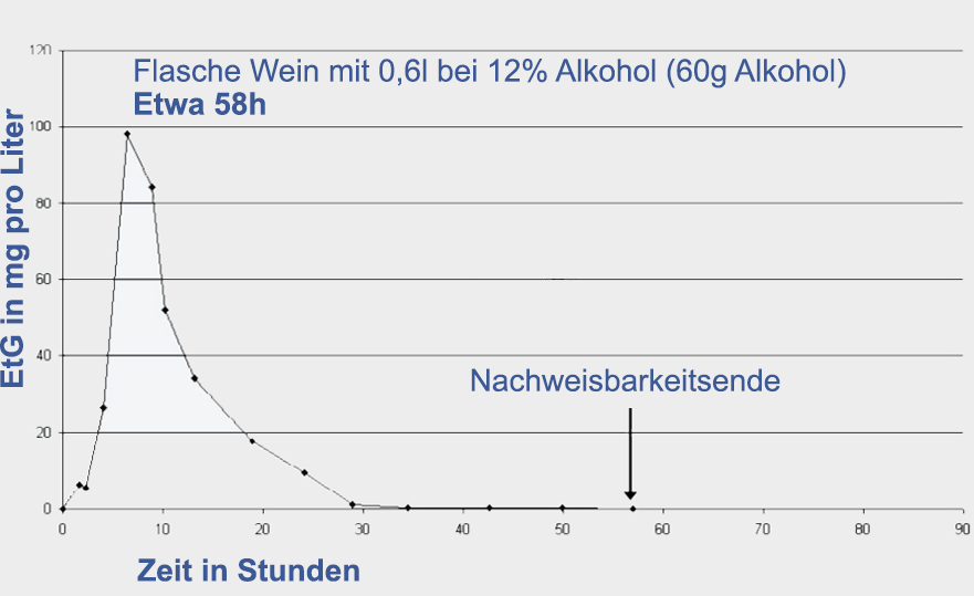 Wie lange ist eine Flasche Wein Alkohol im Blut nachweisbar