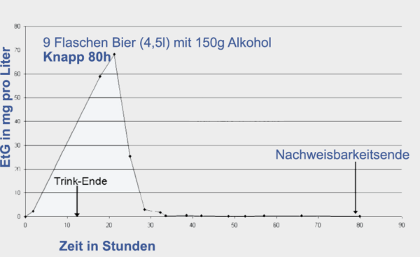 Wie Lange Kann Alkohol Im Urin Nachgewiesen Werden www.mpu-wissen.de