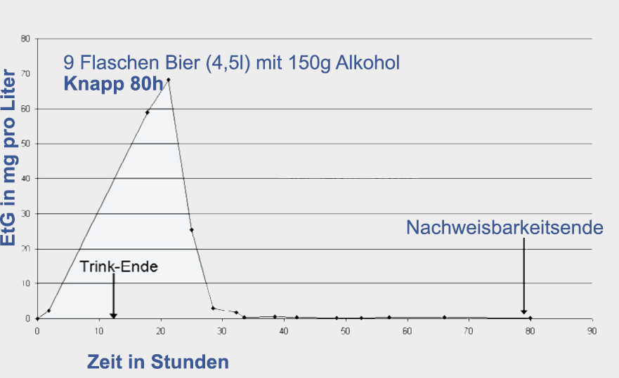 Wie lange sind 10 Bier im Blut nachweisbar